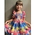 cheap Party Dresses-Kids Girls&#039; Unicorn Rainbow Dress Floral Patchwork Party Casual Holiday Pleated Print Rainbow Knee-length Sleeveless Dresses Children&#039;s Day Summer Regular Fit 2-12 Years
