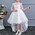 Χαμηλού Κόστους Φορέματα για κορίτσια-Παιδιά Λίγο Κοριτσίστικα Φόρεμα Φλοράλ Φόρεμα σε γραμμή Α Πάρτι Πούλιες Σουρωτά Δίχτυ Λευκό Μαύρο Ρουμπίνι Ασύμμετρο Μισό μανίκι Πριγκίπισσα χαριτωμένο στυλ Φορέματα Άνοιξη Καλοκαίρι Κανονικό 2 #