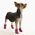 abordables Ropa para perro-Perros Botas / Zapatos para perro Botas de lluvia Impermeable Color Sólido Estilo lindo Para mascotas Silicona Caucho PVC Negro