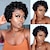 cheap Human Hair Lace Front Wigs-Pixie Cut Wig Short Curly Human Hair Wigs 4x4x1 T Part Lace Front Wig T Part Lace Closure Wave Wet and Wavy Wig Jerry Curly Wig with Natural Hairline for Black Women
