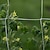 abordables accessoires d&#039;entretien des plantes-filet de treillis pour plantes support de plantes en polyester robuste vigne grimpante culture hydroponique accessoires de filet de jardin accessoires de filet de jardin multi-usages
