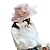 זול כובע מסיבות-כובעים אורגנזה כובע שמש חתונה קנטקי דרבי סגנון קלאסי אלגנטית עם אפליקציות בלוק צבע כיסוי ראש כיסוי ראש