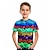 cheap Boy&#039;s 3D T-shirts-Boys 3D Geometric Color Block Optical Illusion T shirt Tee Short Sleeve 3D Print Summer Sports Streetwear Basic Polyester Kids