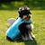 preiswerte Hundekleidung-Hunde-Schwimmweste Hai, Ripstop-Hunde-Rettungswesten mit Rettungsgriff für kleine, mittelgroße und große Hunde, Haustier-Sicherheits-Badeanzug-Schutz für Schwimmbad-Strandbootfahrten