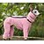 preiswerte Overall-Hund Overall Mode Stilvoll Gewöhnlich Klassicher Stil Retro Vintage Herbst Winter Warm Mode Sport im Freien Hundebekleidung for Windhund