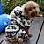 voordelige Hondenkleding-kat hond hoodie jumpsuit pyjama rendier warm houden carnaval winter hond kleding puppy kleding hond outfits blauw roze bruin kostuum voor meisje en jongen hond polar fleece sml xl xxl