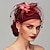 cheap Historical &amp; Vintage Costumes-Retro Vintage 1950s 1920s Headpiece Party Costume Fascinator Hat Women&#039;s Masquerade Party / Evening Headwear