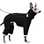 preiswerte Overall-Hund Overall Mode Stilvoll Gewöhnlich Klassicher Stil Retro Vintage Herbst Winter Warm Mode Sport im Freien Hundebekleidung for Windhund
