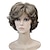 cheap Synthetic Wig-Short Grey Wigs for White Women Mixed Gray Silver Curly Wavy Wigs with White Bangs Grandma Synthetic Short Hair Wigs