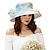baratos Chapéu de Festa-Chapéus Organza Chapéu de sol Casamento Kentucky Derby Estilo Clássico Elegante Com Apliques Bloco de Cor Capacete Chapéu