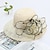 זול כובע מסיבות-קנטקי דרבי כובע כובעים קש תחרה כובע דלי כובע קש כובע שמש קזו&#039;אל חגים קנטקי דרבי גביע מלבורן קוקטייל סגנון וינטאג&#039; אלגנטית עם נוצות תחרה כיסוי ראש כיסוי ראש