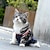 halpa Koiran vaatteet-värikäs/mukava/mukava lemmikkikoira kissa puuvilla kiristävä hihna terveysfysiologiset housut lemmikkieläinten alusvaatteet vaipat (satunnainen väri)