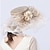 billiga Partyhatt-hattar Organza Bröllop Kentucky Derby Melbourne Cup Söt Stil Brudkläder Med Applikationsbroderi Hårbonad Huvudbonader