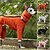 preiswerte Overall-Hund Overall Mode Stilvoll Gewöhnlich Klassicher Stil Retro Vintage Herbst Winter Warm Mode Sport im Freien Hundebekleidung for Windhund