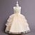 Χαμηλού Κόστους Φορέματα για πάρτι-Παιδιά Κοριτσίστικα Φόρεμα Φόρεμα για πάρτυ Λουλούδι Αμάνικο Επίδοση Γάμου Φόρεμα βάπτισης Κεντητό Κομψό Πριγκίπισσα Πολυεστέρας Μίντι Φόρεμα για πάρτυ Φόρεμα για κορίτσια λουλουδιών Καλοκαίρι Άνοιξη