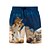 economico Costumi da Bagno per Uomini-Per uomo Boxer da mare Pantaloncini da mare Asciugatura rapida Leggero Boxer da surf Pantaloni Con tasche A cordoncino Nuoto Surf Spiaggia Sport acquatici Animali Estate
