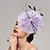 abordables Chapeaux et coiffes-Chapeau Kentucky Derby Fascinateurs Plume Filet Chapeau soucoupe Occasion spéciale Course de chevaux Journée des dames Coupe de Melbourne Avec Plume Pois Casque Couvre-chef