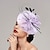 voordelige Hoeden &amp; Hoofdstukken-Kentucky Derby Hat fascinators Veer Netto Schotel Hoed Speciale gelegenheden  Paardenrace Damesdag Melbourne Cup Met Veer Polkadots Helm Hoofddeksels