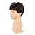 cheap Mens Wigs-Men&#039;s Brown Short Wig Curly Fluffy Natural Synthetic Hair Bangs Cosplay Full Wig for Men