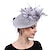 お買い得  ヒストリカル＆ビンテージコスチューム-レトリ／ヴィンテージ 1950年代風 1920年代風 ヘッドピース パーティーコスチューム 魅惑的な帽子 女性用 マスカレード パーティー／フォーマル 帽子