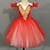 cheap Ballet Dancewear-Ballet Tutu Dress Dress Rhinestone Lace Embroidery Girls&#039; Performance Training Sleeveless High Polyester Mesh