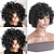cheap Jewelry &amp; Accessories-Synthetic Wig Afro Curly With Bangs Machine Made Wig Short Black Synthetic Hair Women&#039;s Cosplay Party Paired With Disco Necklace, Earrings, Ring And Sunglasses For Hen Party