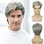 cheap Mens Wigs-Men Wigs Short Silver Gray Wig Synthetic Heat Resistant Natural Halloween Cosplay Hair Wig