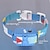 cheap Training Collars-Pet Dog Anti Barking Device USB Electric Dogs Training Collar Dog Stop Barking Vibration Anti Bark Collar