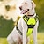cheap Dog Collars, Harnesses &amp; Leashes-No Pull Dog Harnesses for Small Dogs Reflective Adjustable Front Clip Vest with Handle 2 Metal Rings 3 Buckles [Easy to Put on &amp; Take Off