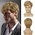 cheap Mens Wigs-Men Wigs Short Silver Gray Wig Synthetic Heat Resistant Natural Halloween Cosplay Hair Wig