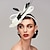 cheap Fascinators-Kentucky Derby Hat Fascinators Feather Net Saucer Hat Special Occasion Horse Race Ladies Day Melbourne Cup With Feather Polka Dot Headpiece Headwear