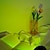 povoljno Nova LED svjetla-mini projekcija svjetiljke za zalazak sunca u više boja USB plug-in prijenosno noćno svjetlo za zalazak sunca romantično vizualno LED svjetlo sa tronošcem podna lampa za zalazak sunca svjetlo za