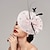 Χαμηλού Κόστους Fascinators-Καπέλο Ντέρμπι Γοητευτικά Φτερό Δίχτυ Πιατάκι καπέλο Ειδική Περίσταση Ιπποδρομία Ημέρα της Γυναίκας Κύπελλο Μελβούρνης Με Φτερό Πουά Ακουστικό Καπέλα