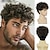 preiswerte Herrenperücken-kurze lockige schwarze Herrenperücke flauschige synthetische Cosplay-Halloween-Haarperücke für Männer