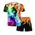 cheap Boy&#039;s 3D Sets-Boys 3D Graphic T-shirt &amp; Shorts Clothing Set Short Sleeve Summer Spring Sports Fashion Cool Polyester Kids 3-13 Years Outdoor Street Sports Regular Fit