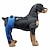 economico Assistenza Sanitaria-imbracature ginocchiera mimetica per cani, cura di lesioni acl, ccl, artrite, dolori articolari, affaticamento e stress con la ginocchiera walkabout (medio destro)