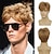 cheap Mens Wigs-Men&#039;s Cropped Wigs Short Layered Natural Synthetic Halloween Cosplay Costume Men&#039;s Wigs
