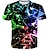 billige drenges 3d t-shirts-Drenge 3D Geometrisk T-shirt Kortærmet 3D-udskrivning Sommer Forår Aktiv Sport Mode Polyester Børn 3-12 år udendørs Daglig Regulær