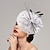 Χαμηλού Κόστους Fascinators-Καπέλο Ντέρμπι Γοητευτικά Φτερό Δίχτυ Πιατάκι καπέλο Ειδική Περίσταση Ιπποδρομία Ημέρα της Γυναίκας Κύπελλο Μελβούρνης Με Φτερό Πουά Ακουστικό Καπέλα