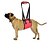 abordables Vêtements &amp; Accessoires pour Chien-porter un chien avec une ceinture pour animaux de compagnie assistance pour animaux de compagnie avec une ceinture de protection pour animaux de compagnie