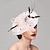cheap Fascinators-Kentucky Derby Hat Fascinators Feather Net Saucer Hat Special Occasion Horse Race Ladies Day Melbourne Cup With Feather Polka Dot Headpiece Headwear