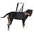 abordables Vêtements &amp; Accessoires pour Chien-porter un chien avec une ceinture pour animaux de compagnie assistance pour animaux de compagnie avec une ceinture de protection pour animaux de compagnie