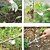 billige hagehåndverktøy-1 stk manuell hageluker rengjøring plen solid graveavtrekker håndluking trimming fjerning gressverktøy transplantasjonstilbehør