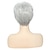 halpa vanhempi peruukki-harmaat peruukit naisille lyhyet harmaat peruukit valkoisille naisille luonnollinen aalto synteettinen täysi vanhan naisen peruukki vanhalle keski-ikäiselle naiselle toimistonainen