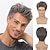 cheap Mens Wigs-Mens Wigs Grey Short Layered Wig Syntheric Replacement Cosplay Costume Party Daily Wear Hair Wig