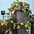 abordables Guirlandes Lumineuses LED-solaire feuille de lierre feuille de rose guirlandes lumineuses en plein air led lumières suspendues artificielle pour cour clôture jardin tenture décoration éclairage étanche lumière