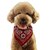 cheap Dog Collars, Harnesses &amp; Leashes-Dog Pets Collar Tie / Bow Tie Soft Bandanas Hands free Outdoor Walking Plaid / Check Plaid Solid Colored Novelty Classic PU Leather Small Dog Medium Dog Black Red Blue 1pc