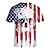 Недорогие Аниме Футболки-День независимости 4 июля Флаг США Как у футболки Аниме Мультяшная тематика Аниме 3D Харадзюку Графический Каваи Назначение Для пары Муж. Жен. Взрослые Снова в школу! 3D печать