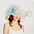 cheap Party Hats-Organza Kentucky Derby Hat / Fascinators / Headdress with Tiered 1 PC Party / Evening / Business / Ceremony / Wedding / Tea Party Headpiece