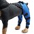 economico Assistenza Sanitaria-imbracature ginocchiera mimetica per cani, cura di lesioni acl, ccl, artrite, dolori articolari, affaticamento e stress con la ginocchiera walkabout (medio destro)